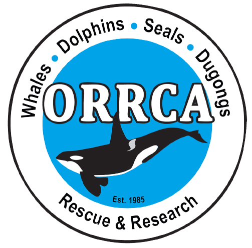 ORRCA_logo-removebg-preview.png