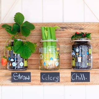 moccona jar inspiration hanging veggie garden